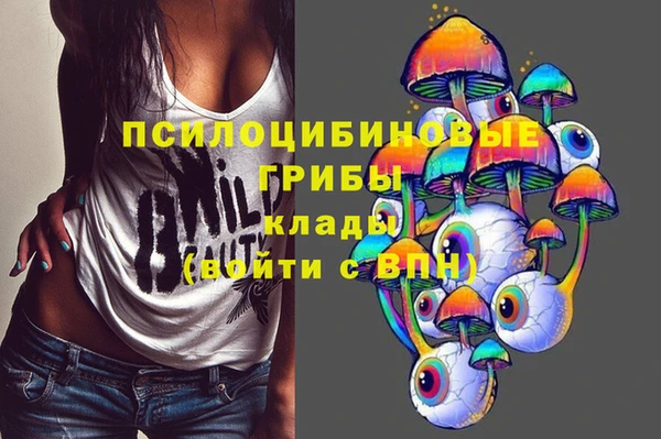 эйфоретик Алзамай