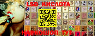 хмурый Сланцы