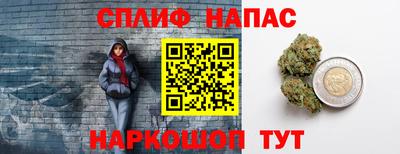 хмурый Сланцы