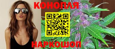 хмурый Сланцы