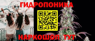 прущие крисы Славгород