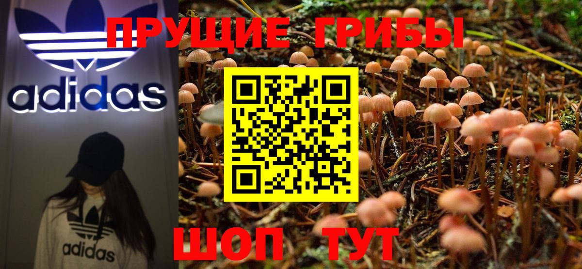 Галлюциногенные грибы мухоморы  Псилоцибиновые грибы Psilocybe  Вход с VPN  Севастополь 