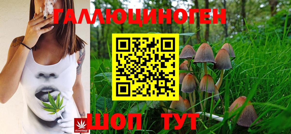 Псилоцибиновые грибы GOLDEN TEACHER Севастополь