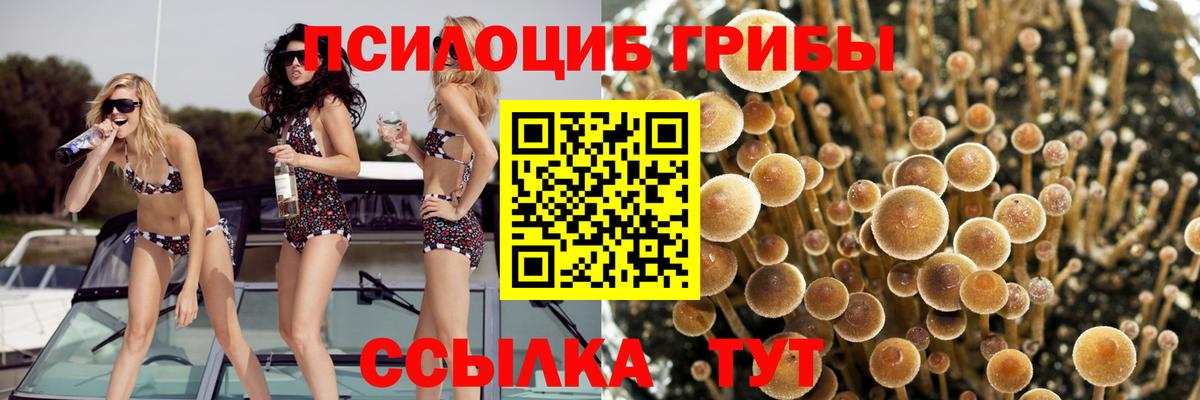 COCAIN  Вход с VPN  ТГК  ГАШ  Севастополь  Меф МЯУ МЯУ кристаллы 