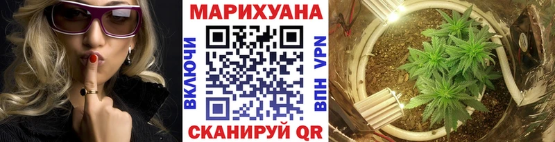 Конопля OG Kush  купить   Севастополь 